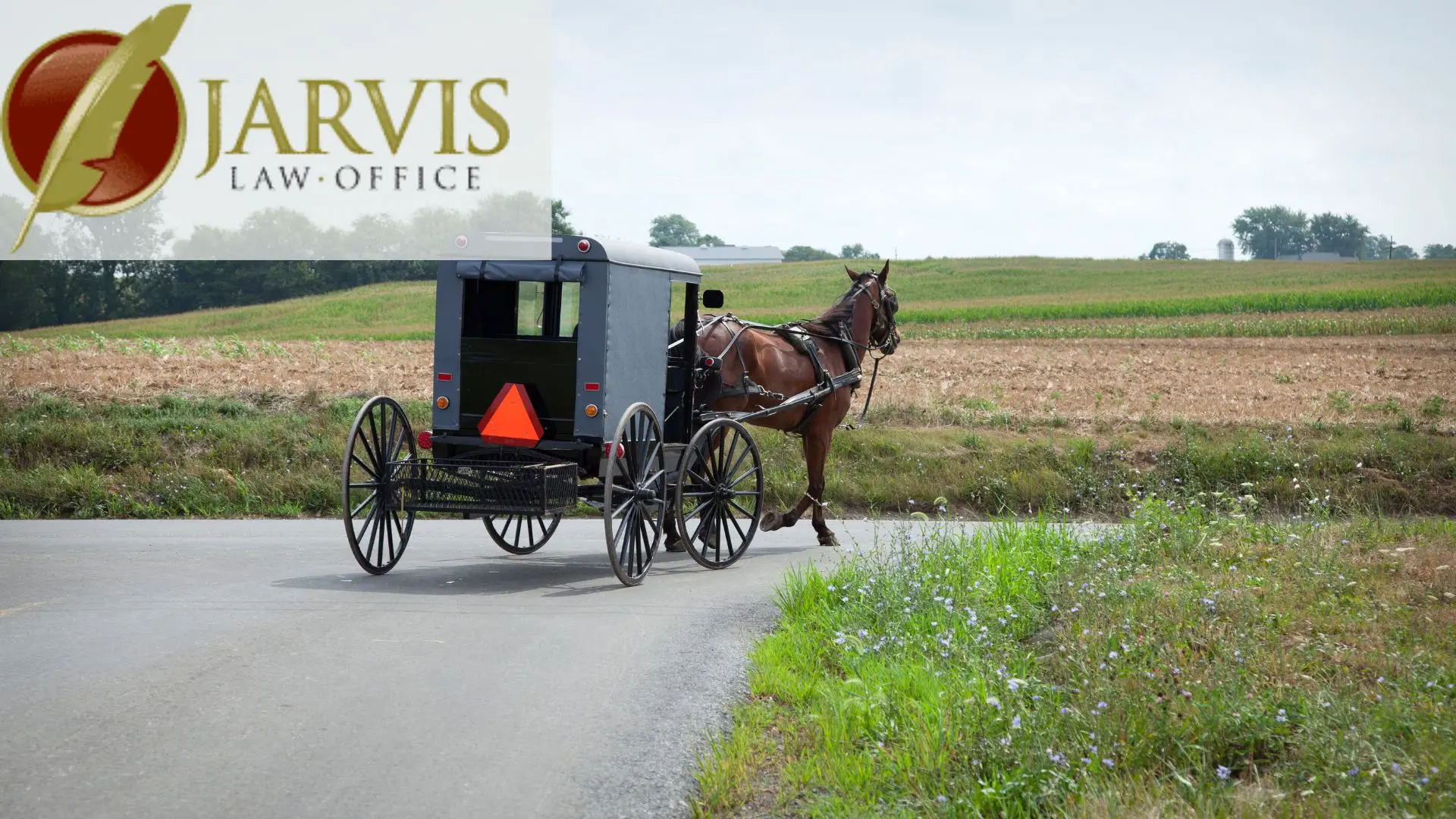 Horse-drawn Amish buggy on rural country road